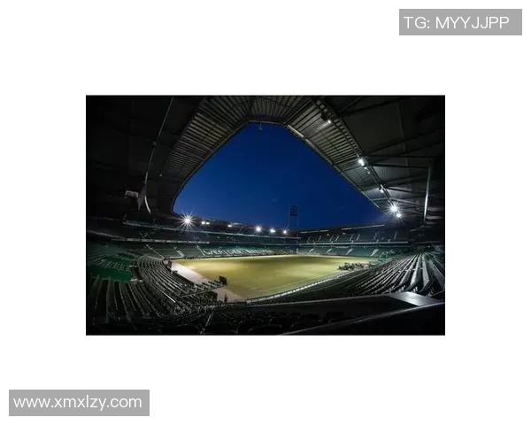 回顾95年足球明星的辉煌岁月与传奇故事