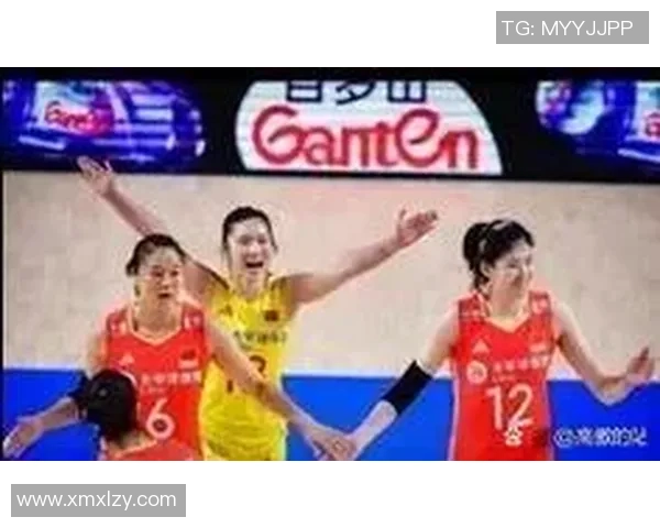 武汉排球队技术表现分析与联赛表现的深度解读